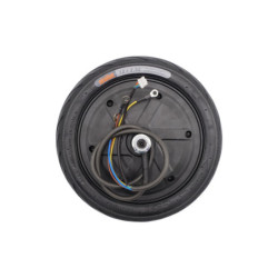 Moteur Ninebot Segway F2 / F2+ - 5890