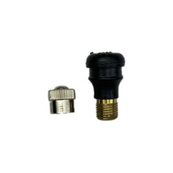 Valve Tubeless Droite Trottinette Électrique - 00-016