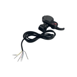 Display Jh-01 – Trottinette électrique