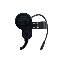 Display Lh-100 – Trottinette électrique