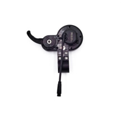 Display Lt-01 – Trottinette électrique