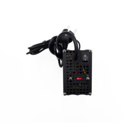 Chargeur Rapide Dualtron Mini 52v 7a Lp-16 – Trottinette électrique