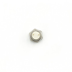 Interrupteur Led Speedway Mini4 Pro – Trottinette électrique