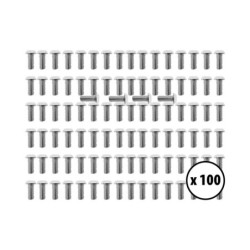 Vis de Deck Dualtron Mini Inox X100pcs – Trottinette électrique