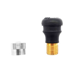 Valves Tubeless 22,5mm X10pcs – Trottinette électrique
