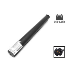 Batterie 36v 6.5ah Cecotec Bongo Serie a – Trottinette électrique