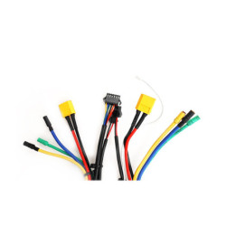 Contrôleur Dualtron Aminia Dual Moteur – Trottinette électrique