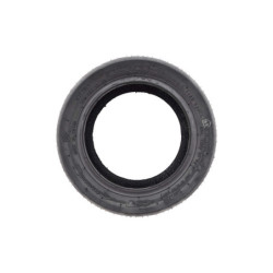 Pneu 10x3.00-6 Cst Tubeless Avec Gel Anti Crevaison Dualtro - PN-157
