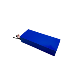 DUALTRON VICTOR & LUXURY & SPIDER 2 & FOREVER LTD - BATTERIE 60V24AH