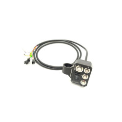 DUALTRON STORM l COMMODO (MULTI)