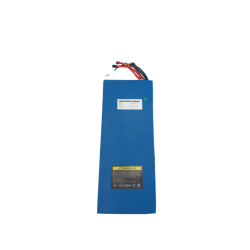 DUALTRON VICTOR & VICTOR LUXURY - BATTERIE 60V30AH
