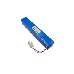 DUALTRON X2 - BATTERIE LED 12V