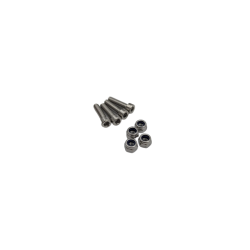 MINIMOTORS - VIS SUPPORT ACCELERATEUR (X4)