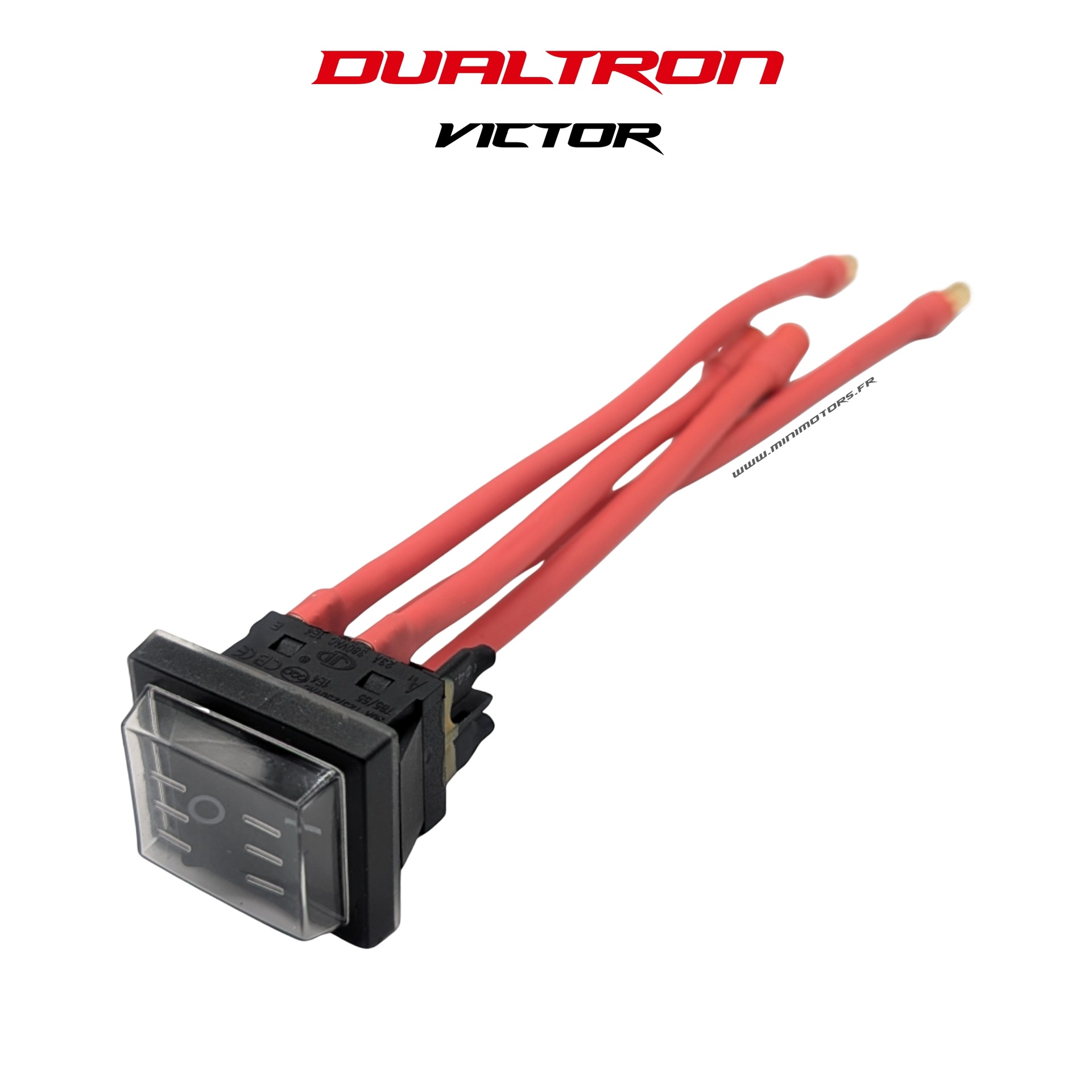 DUALTRON VICTOR | BOUTON DALLUMAGE