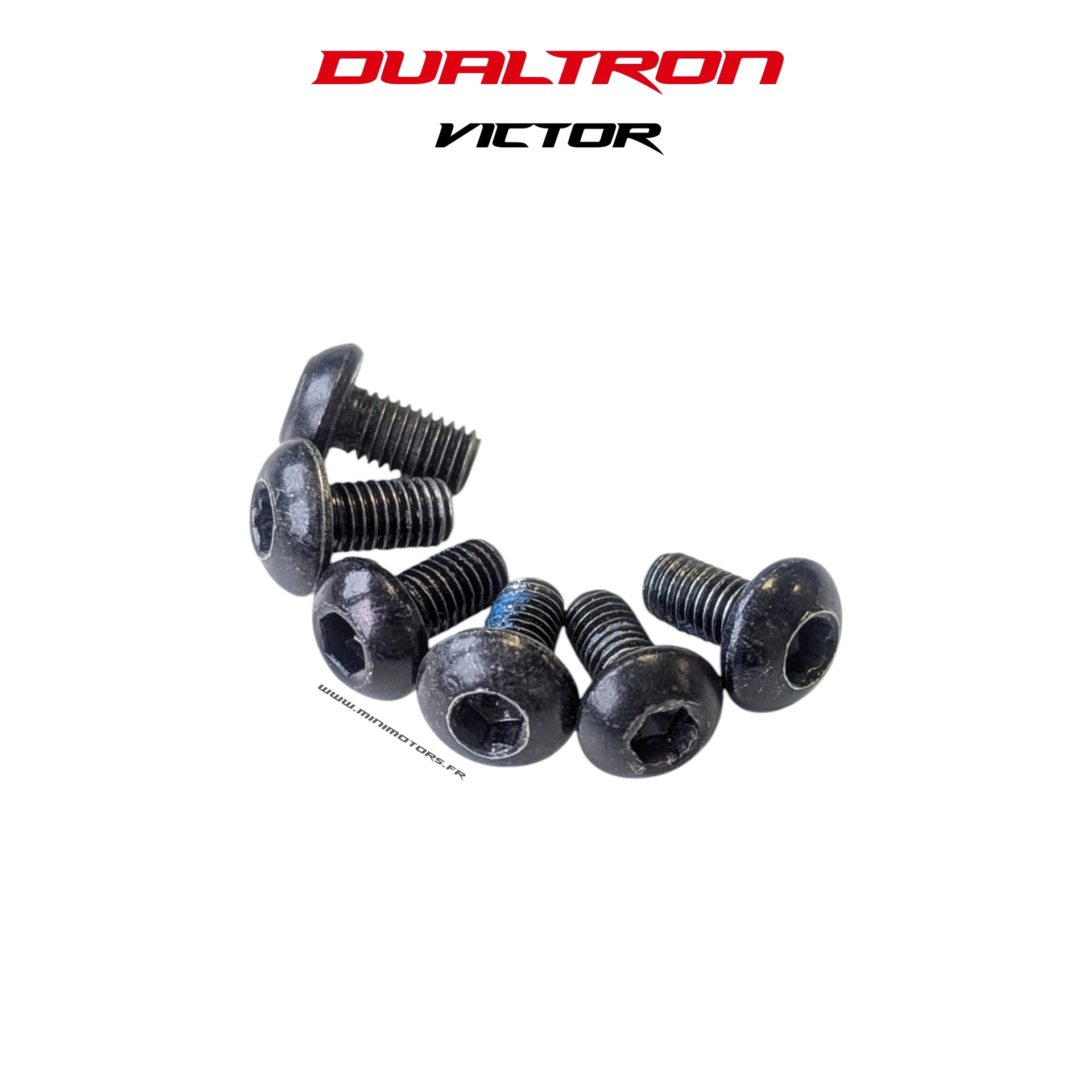 DUALTRON VICTOR | VIS DISQUE DE FREIN (X6)