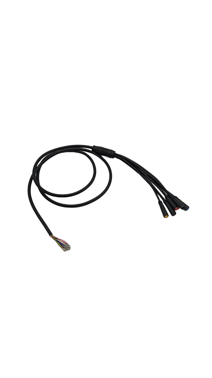 CABLE PRINCIPAL 1-6 pour Blade X 2023 30Ah | M365 France