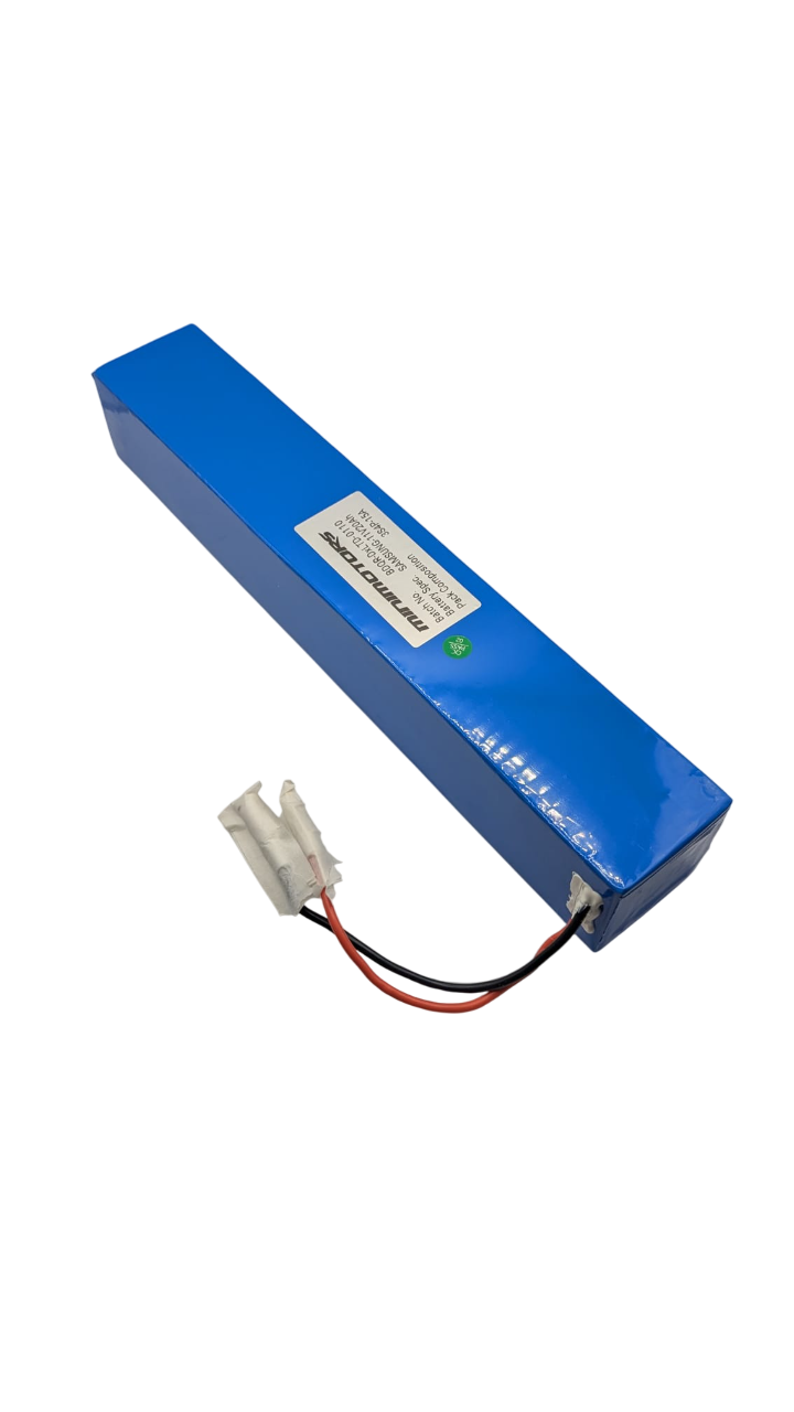 BATTERIE LED 12V pour X2 | M365 France