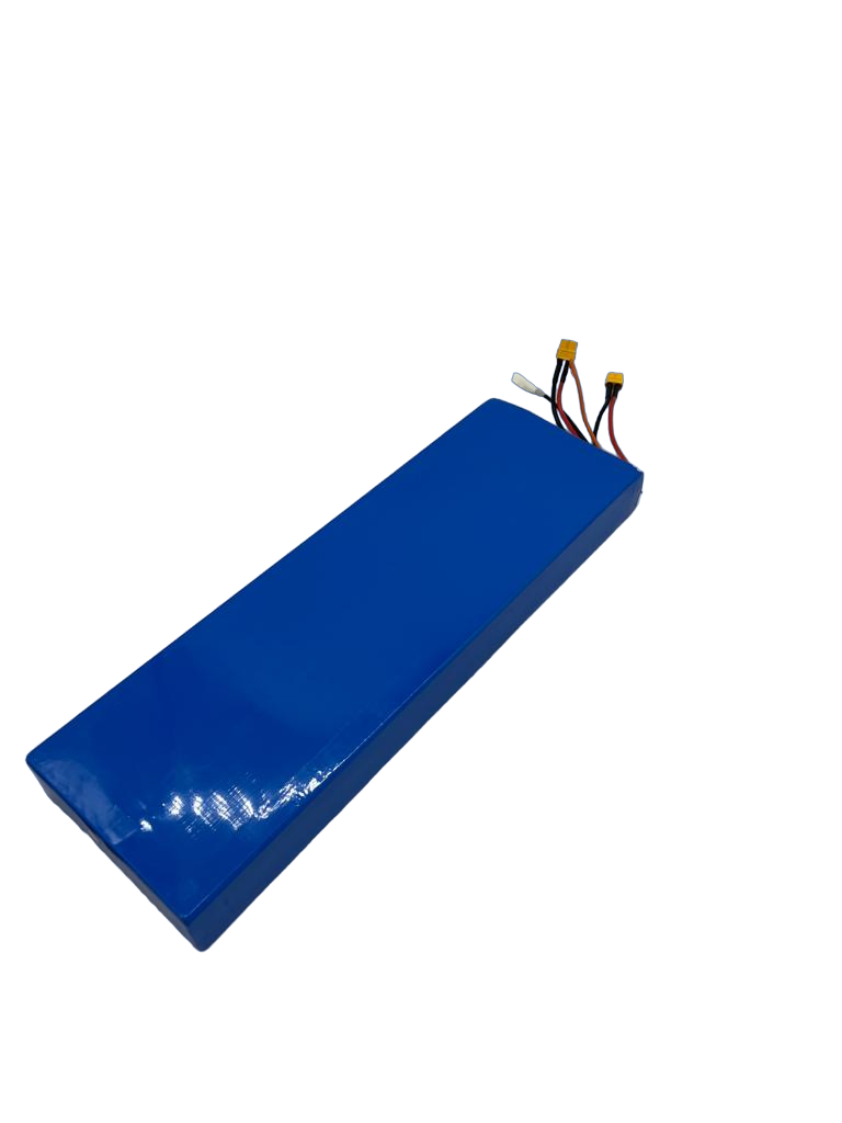 BATTERIE 52V15.6AH pour Aminia Double 15.6Ah | M365 France