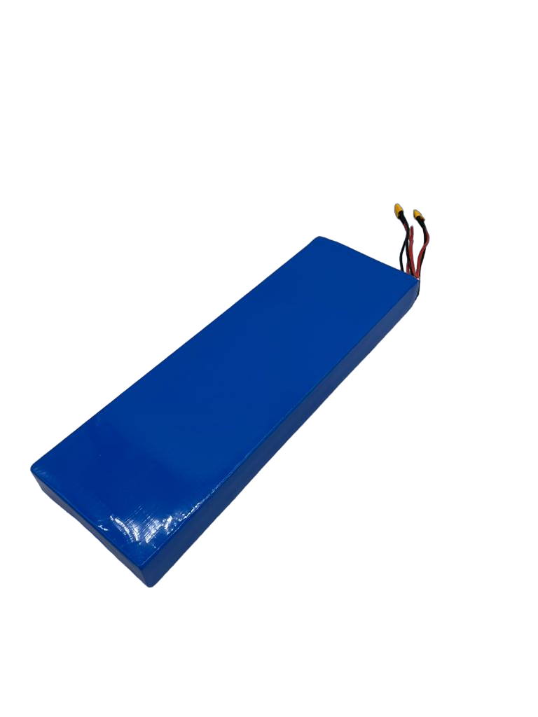 BATTERIE 52V21AH pour Aminia Double 21Ah | M365 France