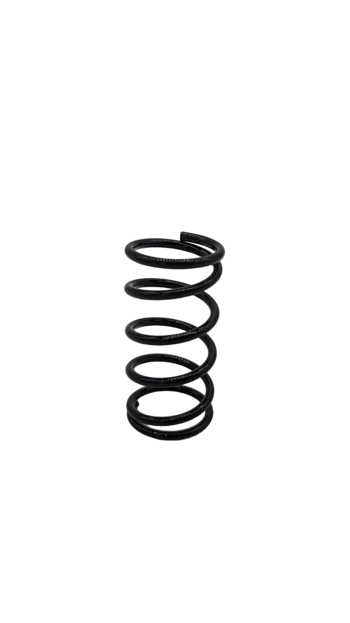 SUSPENSION AVANT pour Dolphin 15Ah | M365 France