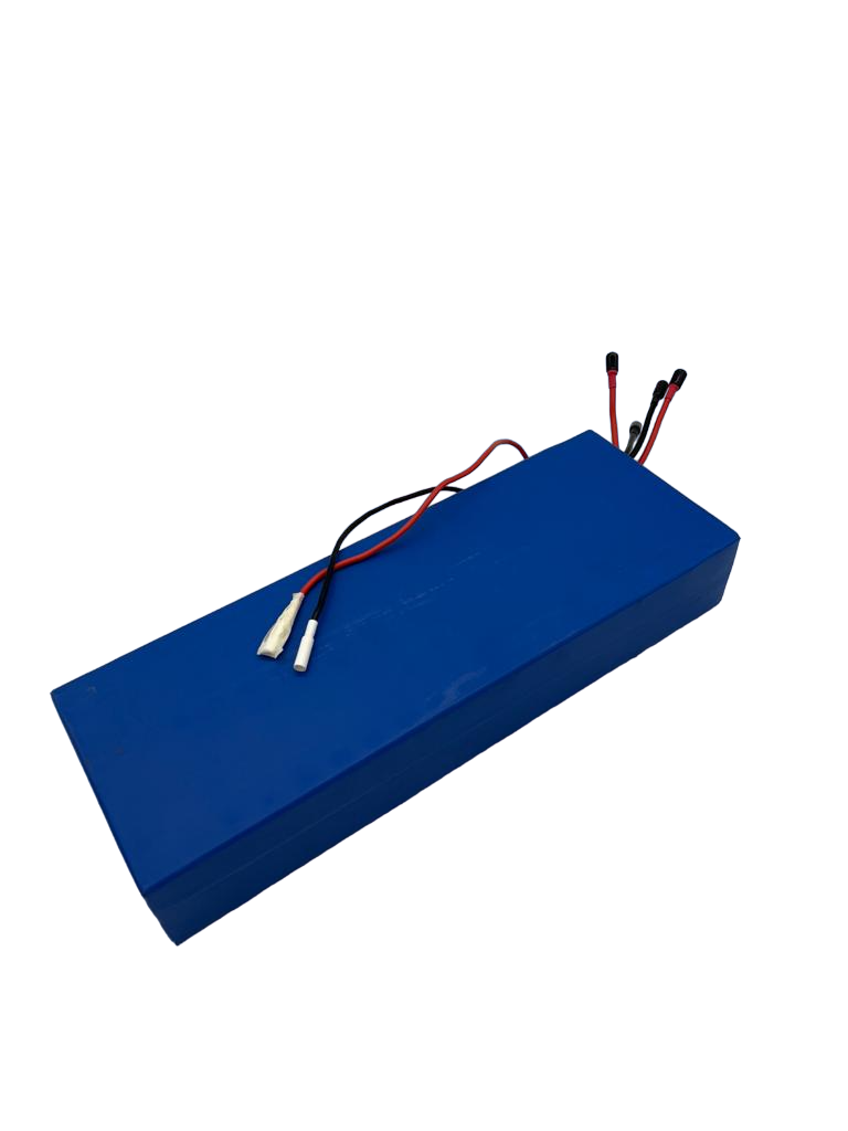 BATTERIE 60V 22.4AH pour Eagle | M365 France