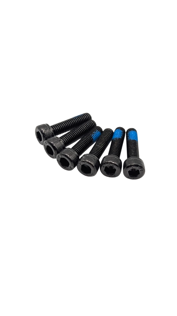 VIS JANTE MOTEUR AR X 6 pour Victor 24Ah 2024 | M365 France