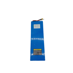 BATTERIE 52V21AH pour Mini Double 21Ah | M365 France