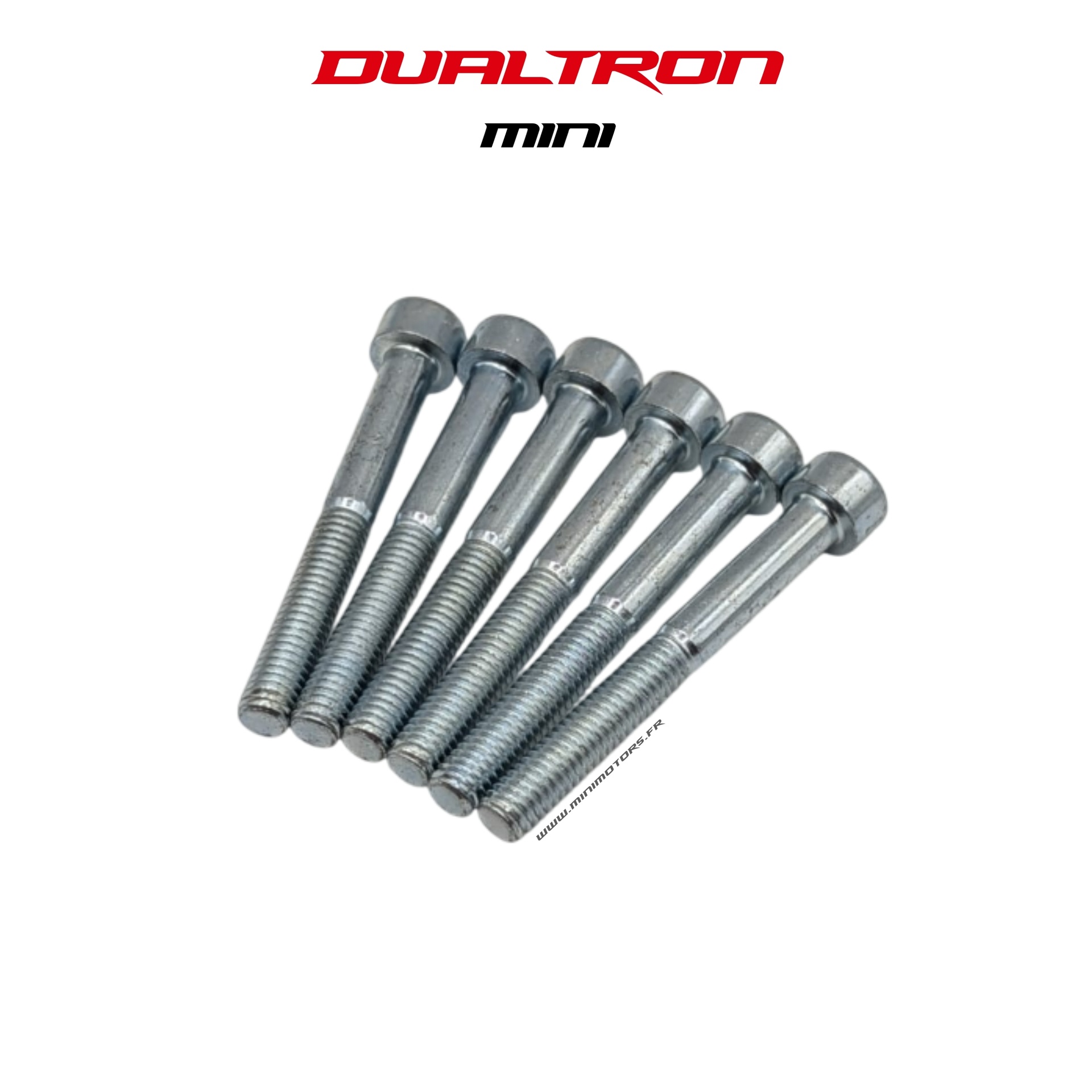 VIS COLONNE DE DIRECTION M6x48(X6) pour Mini 21Ah | M365 France