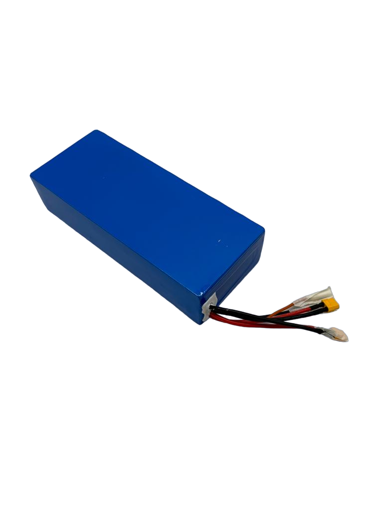 BATTERIE 52V14AH pour Pop Double 20Ah | M365 France