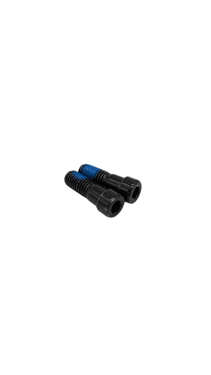 VIS FOURCHE DE SUSPENSION M8X22 V2 (x2) pour Pop Double 20Ah | M365 France