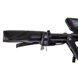 Trottinette Électrique Dualtron Victor Luxury 60V 30Ah EY4 (2025) | M365 France