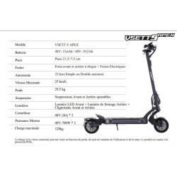 VSETT 9 APEX 48 V 19.2 AH (batterie amovible) DUAL MOTOR | M365 France