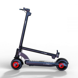 ORNO SINGLE 48 V 13 AH NOIR | M365 France