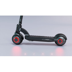 ORNO SINGLE 48 V 13 AH NOIR | M365 France