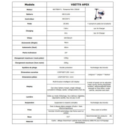 VSETT 9 APEX 48 V 15.6 AH (batterie amovible) DUAL MOTOR | M365 France