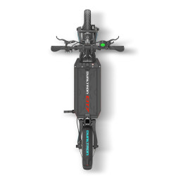TROTTINETTE ÉLECTRIQUE DUALTRON CITY 60V20AH | M365 France