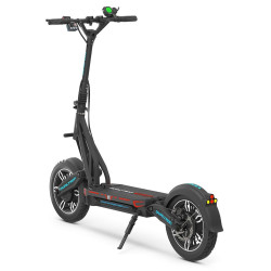 TROTTINETTE ÉLECTRIQUE DUALTRON CITY 60V20AH | M365 France