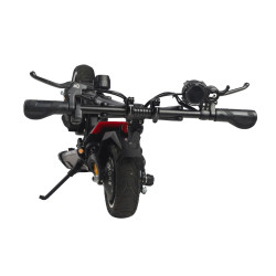 TROTTINETTE ELECTRIQUE DUALTRON AMINIA SPECIAL 52V 13Ah IPX5 | M365 France