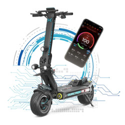 TROTTINETTE ELECTRIQUE DUALTRON X LTD | M365 France