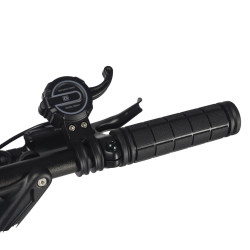 TROTTINETTE ELECTRIQUE DUALTRON FOREVER 60V 24A LIMITED | M365 France